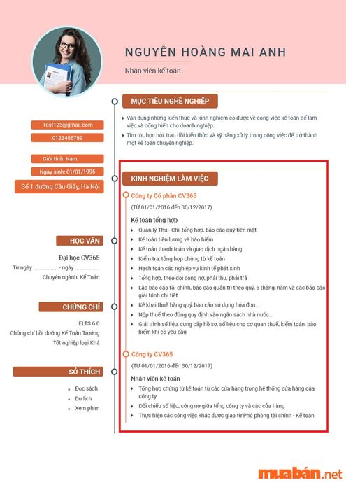 Kinh nghiệm làm việc trong CV