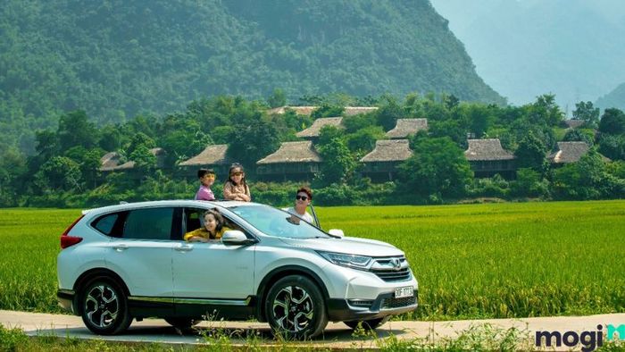 Khu Du Lịch Bò Cạp Vàng