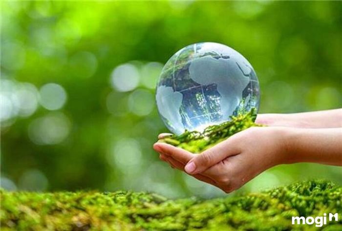 Hẻm Trần Phú Vũng Tàu