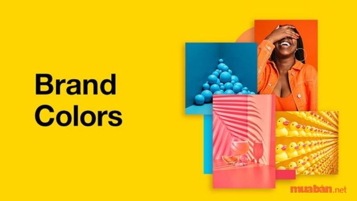 Màu sắc là một yếu tố vô cùng quan trọng trong việc xây dựng Brand Identity. Màu sắc chủ đạo của thương hiệu sẽ được thể hiện rõ ràng thông qua logo, giúp khách hàng dễ dàng nhận diện thương hiệu.