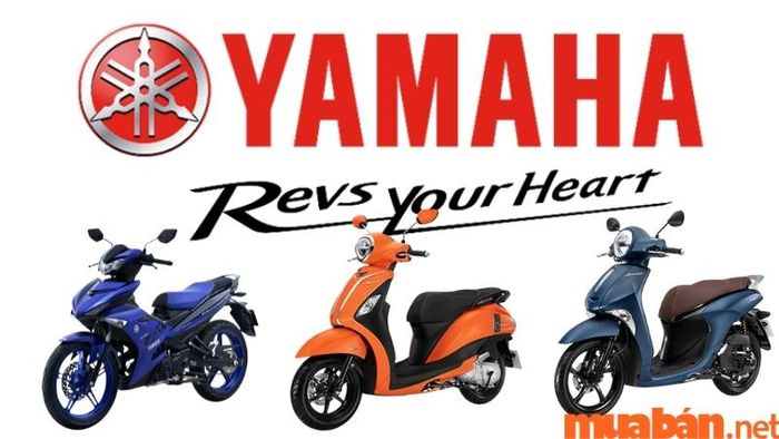 Một số mẫu xe của Yamaha