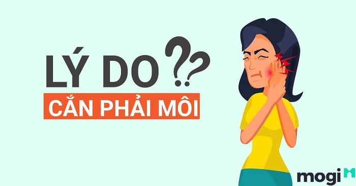 Cắn môi