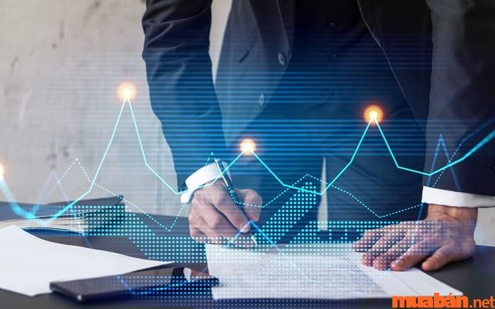 Chuyên viên Quản lý Rủi ro (Risk Management Officer)