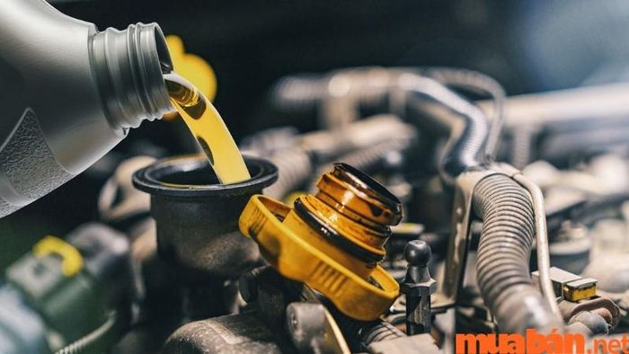 Nên thay nhớt theo định kỳ để đảm bảo hiệu suất động cơ và kéo dài tuổi thọ xe.