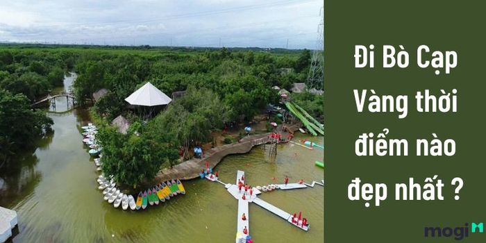 Bò Cạp Vàng Mở Cửa Vào Lúc Mấy Giờ?