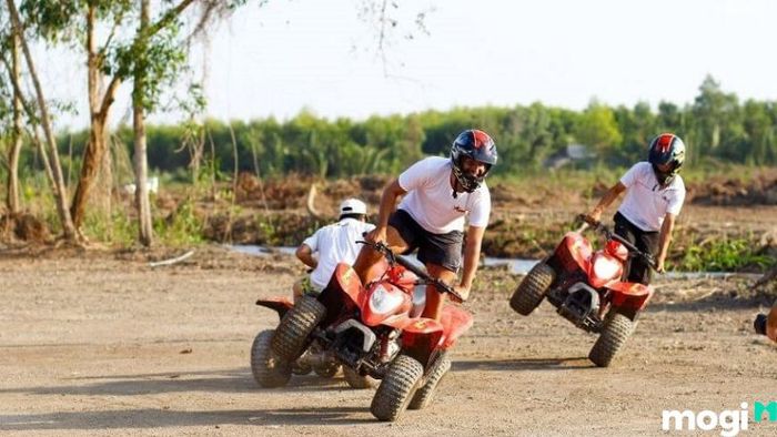 Khu Du Lịch Bò Cạp Vàng