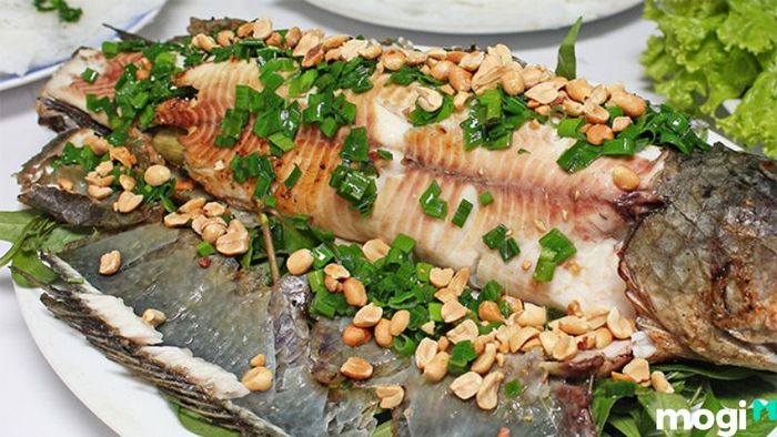 Bò Cạp Vàng