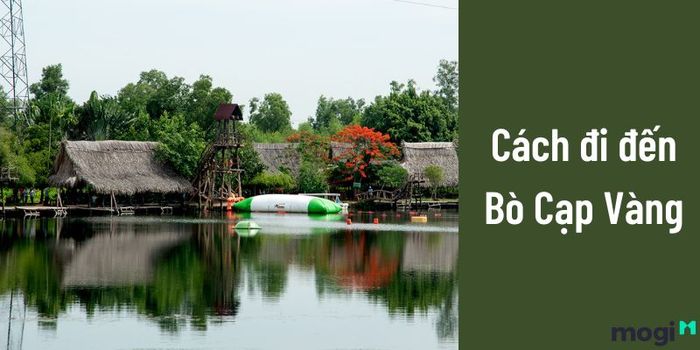 Đi xe buýt như thế nào để đến Bò Cạp Vàng?