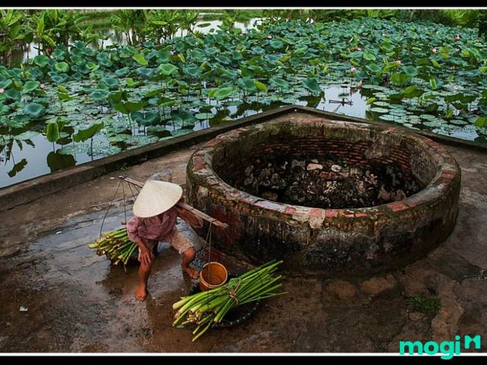 Nhà có tang nên kiêng gì vào ngày Tết?