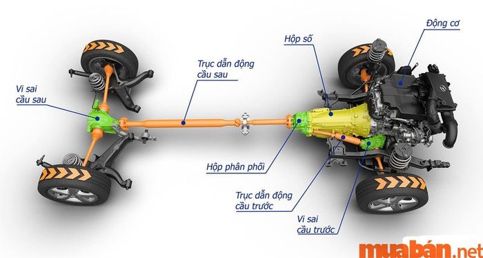 Bộ vi sai bao gồm 7 bộ phận phụ trợ ngoài 2 bộ phận chính.