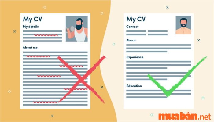 Lưu ý khi viết CV