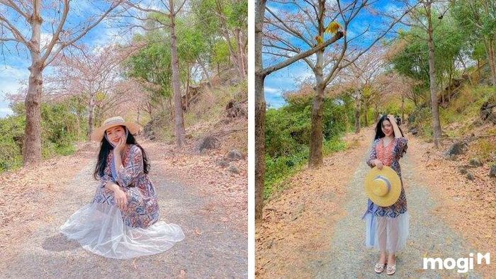 Hẻm Trần Phú Vũng Tàu