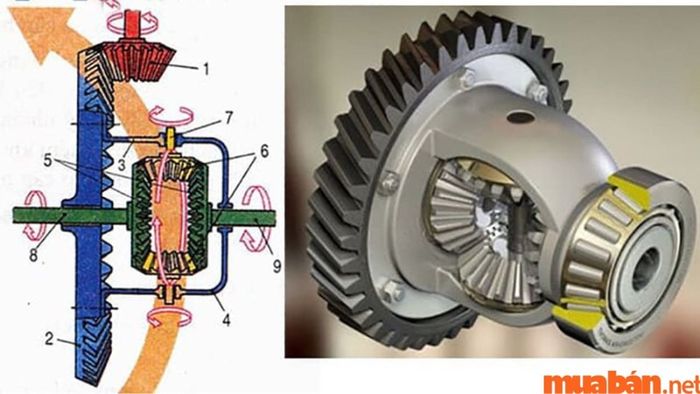 Bộ vi sai mở (Open Differential)