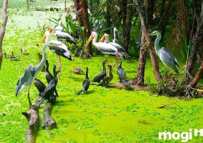 Gáo Giồng là một điểm đến tuyệt vời để thỏa mãn sự tò mò và tận hưởng vẻ đẹp hoang sơ của thiên nhiên.