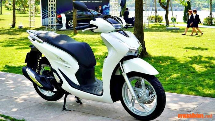 Có nên mua xe SH cũ không? Hãy cùng tìm hiểu