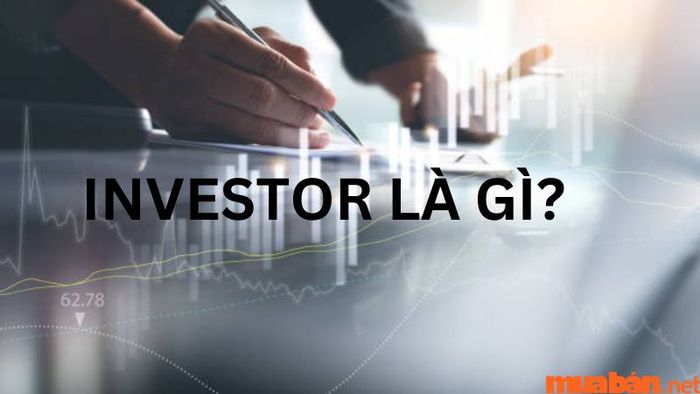 Khám phá ngay bài viết để hiểu rõ hơn về khái niệm Investor là gì!