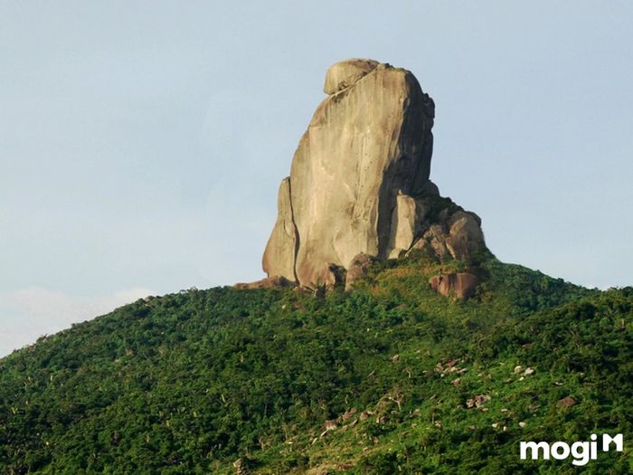 Khám Phá Cảnh Đẹp Phú Yên