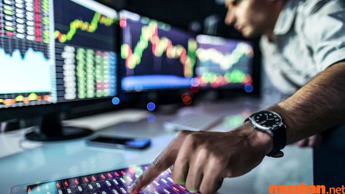 Câu hỏi thường gặp về Nhà đầu tư