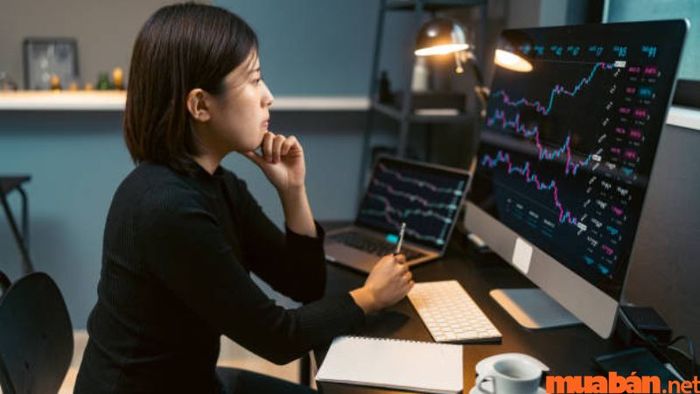 Khái niệm về nhà đầu tư