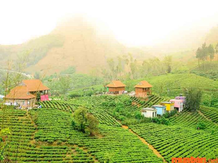 Kinh nghiệm du lịch Tây Bắc