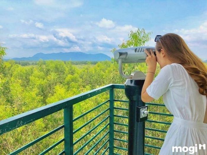 Đài quan sát rừng Trà Sư