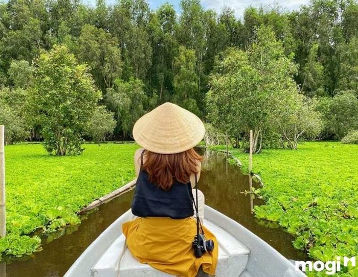 Trải nghiệm ngồi xuồng tham quan rừng tràm