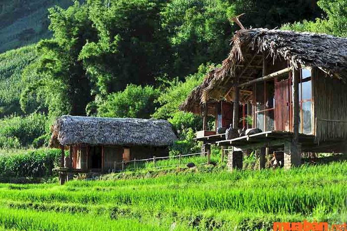 Kinh nghiệm du lịch Tây Bắc