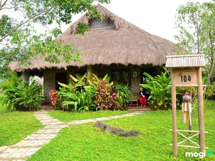 Những điểm cần lưu ý khi xây dựng nhà có vườn