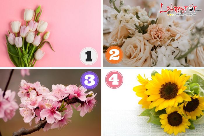 Trắc nghiệm may mắn tháng 11/2024: Bạn sẽ đón nhận điều gì đặc biệt?