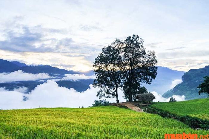 cẩm nang du lịch Tây Bắc