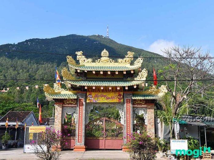 Khám Phá Những Cảnh Đẹp Phú Yên Mê Hồn