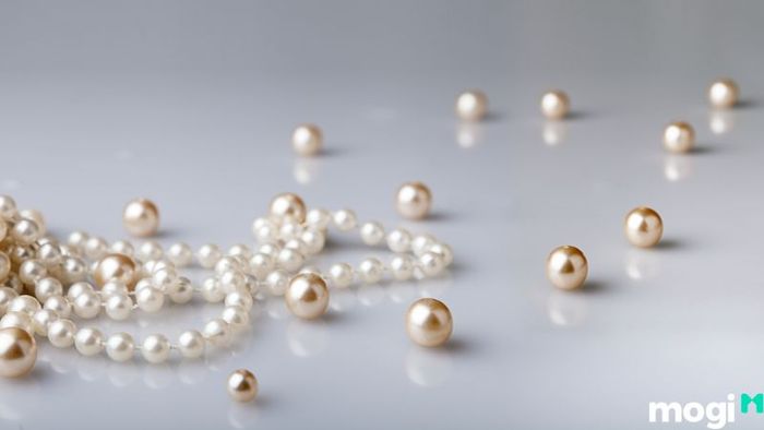 khu nuôi cấy ngọc trai