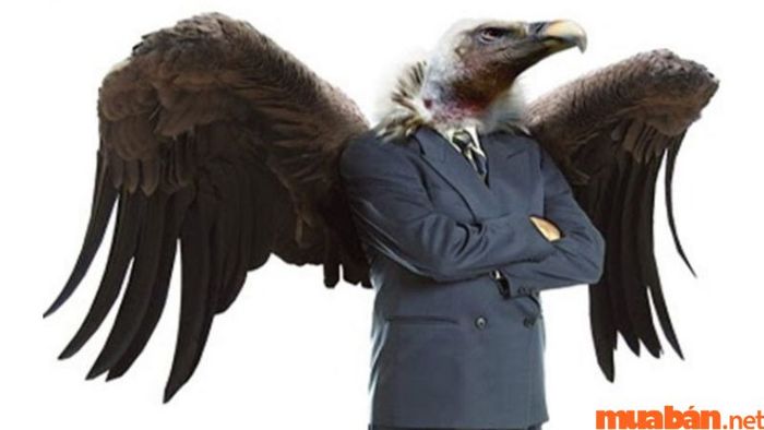 Nhà đầu tư kền kền (Vulture Investor)