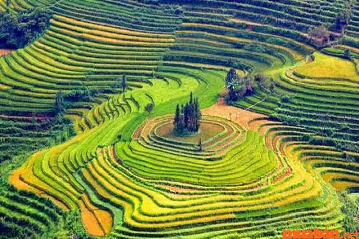 Kinh nghiệm du lịch Tây Bắc