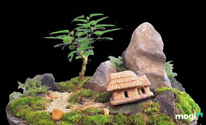 tiểu cảnh hòn non bộ đơn giản