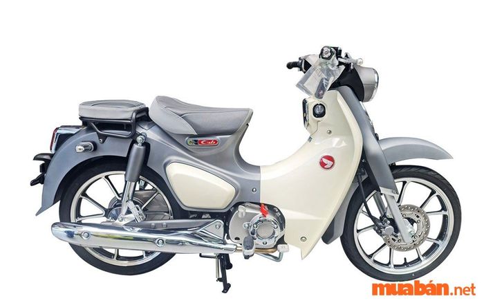 Xe số đẹp cho nữ