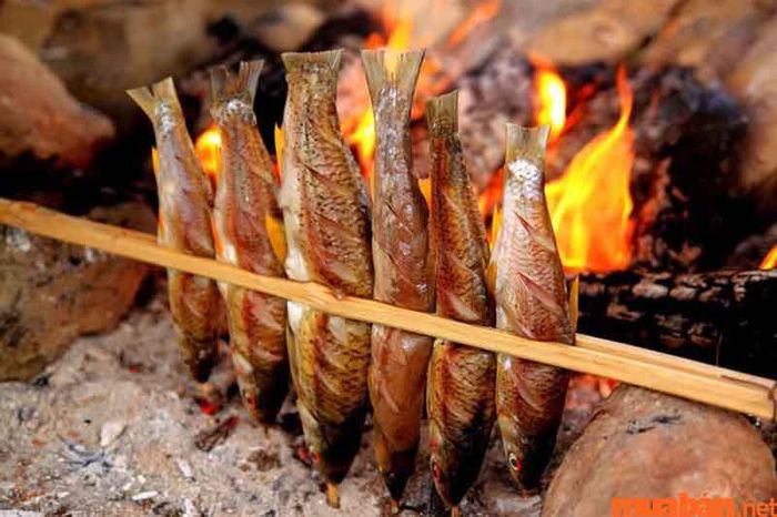 Kinh nghiệm du lịch Tây Bắc