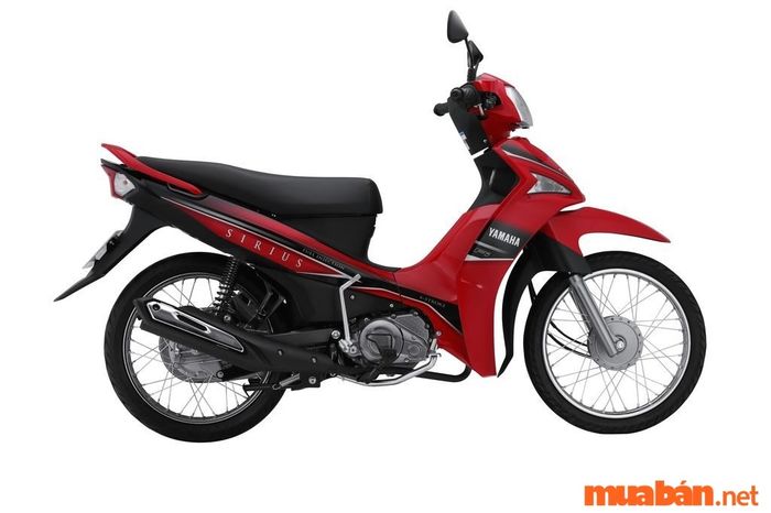 Xe số đẹp dành cho nữ