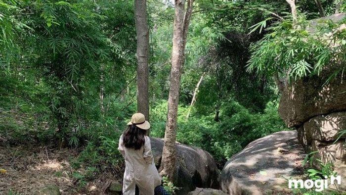 Suối Tiên Vũng Tàu