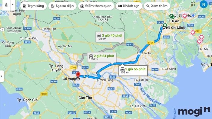 vườn quýt hồng Lai Vung