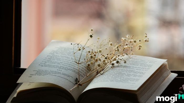 khu nuôi cấy ngọc trai