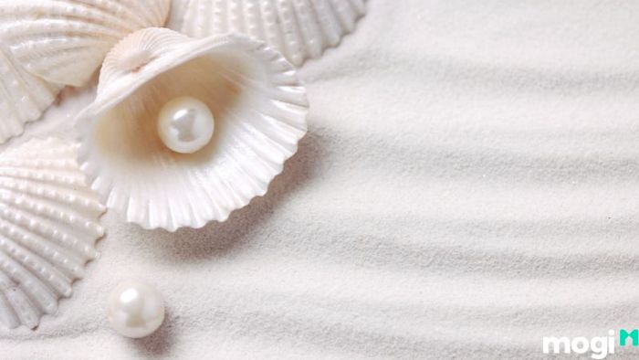 Khu vực nuôi cấy ngọc trai