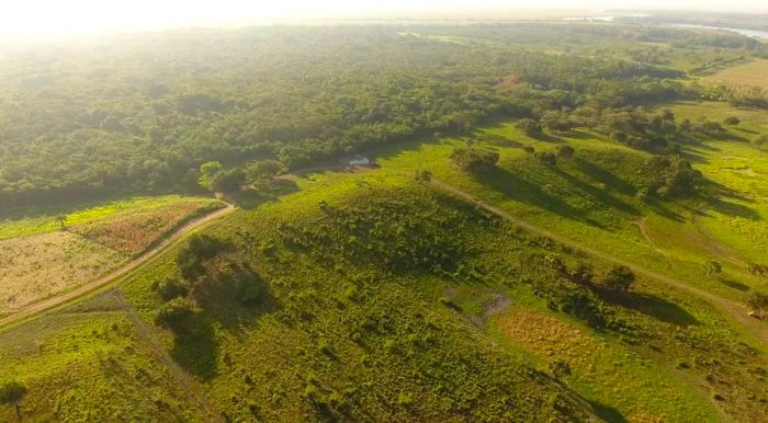 Aerial view of the southwestern section of the Aguada Fénix main plateau.