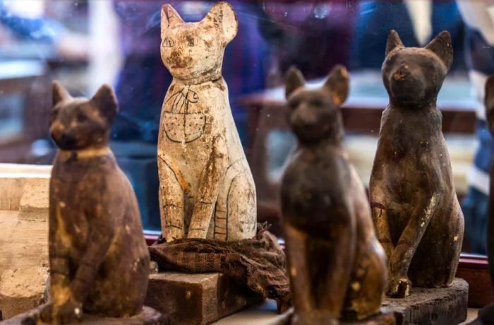 Cat statues are showcased following the announcement of a new discovery by an Egyptian archaeological team at the Saqqara necropolis in Giza, just south of Cairo, on November 23, 2019.