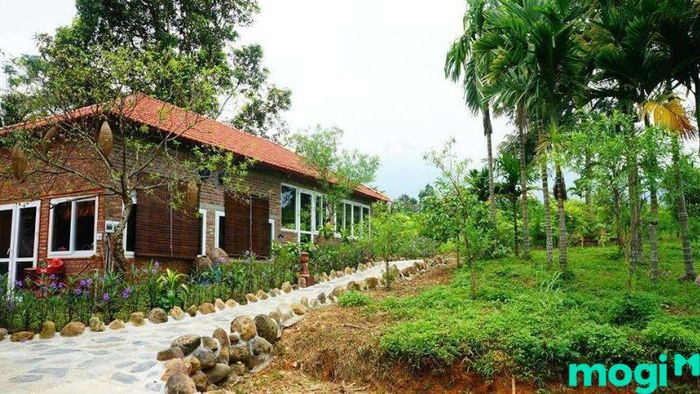 Ba Vì, Sơn Tây có những địa điểm thú vị nào để tham quan?