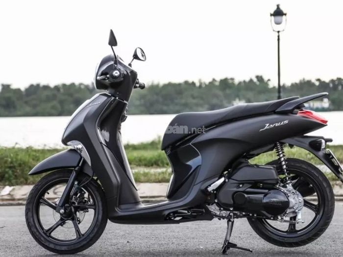 Yamaha Janus 2019