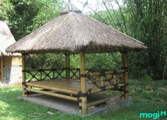 Lợi ích của nhà tranh