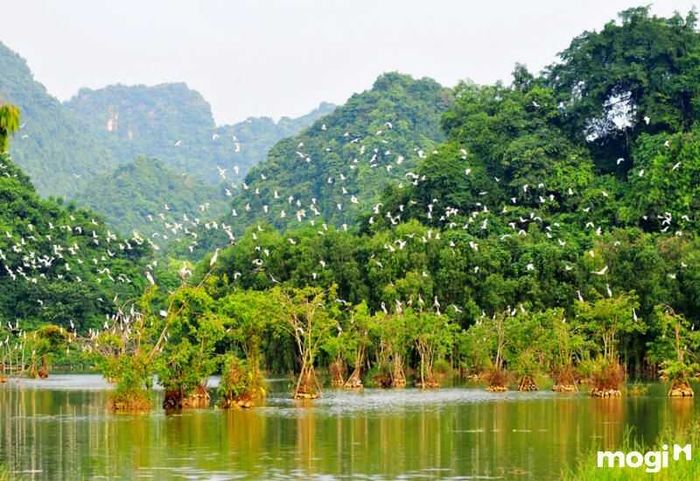 Thung Nham Ninh Bình – Điểm đến tuyệt vời cho những ai yêu thích thiên nhiên.