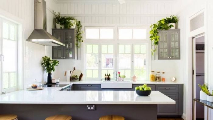 Lợi ích của việc trồng cây cảnh trong nhà bếp