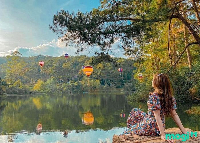 Giờ Hoạt Động Của Lạc Tiên Giới